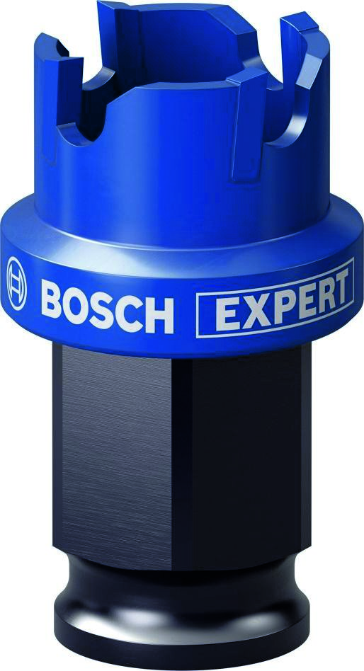 Bosch Professional Accesorios 2608900493 Sierra de chapa Expert 22 x 40 mm