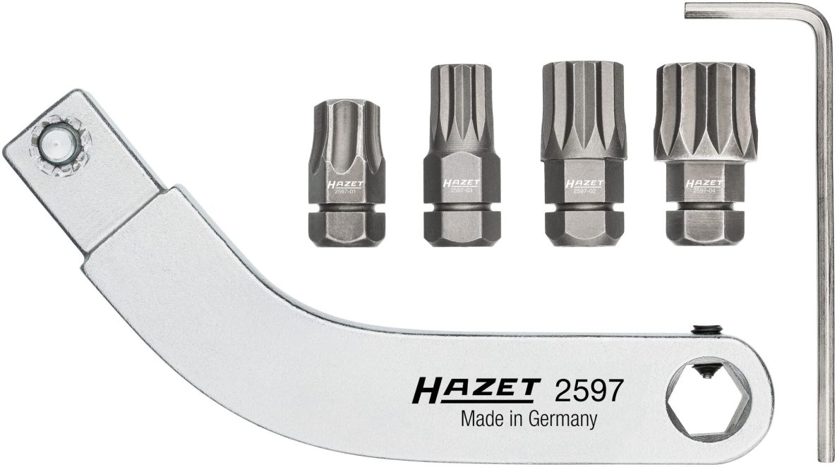 Hazet 2597-2/5 Juego de puntas para bisagras de puerta, portapuntas curvo, 9 x 12 mm, 5 piezas