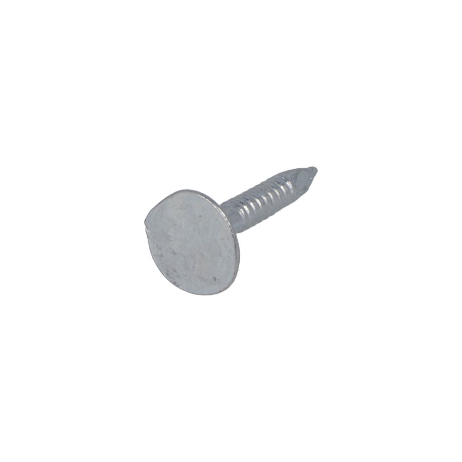 Proftec 5592.01.02210 Clavo asfáltico VZ PK 3,0 x 15 mm - 1 kg